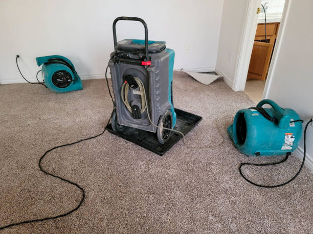 Best Ceiling water damage repair  in Linda, CA