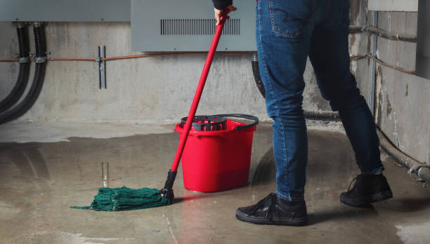 Best Water damage restoration near me  in Linda, CA