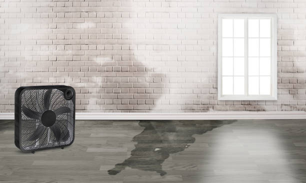 Best Water damage restoration process  in Linda, CA