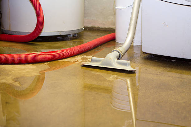 Best Fire Damage Restoration  in Linda, CA